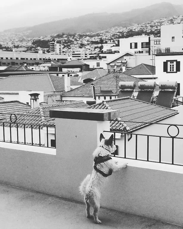 Endemic - Concept Apartment Funchal  0*, Funchal (Madeira) Portugal