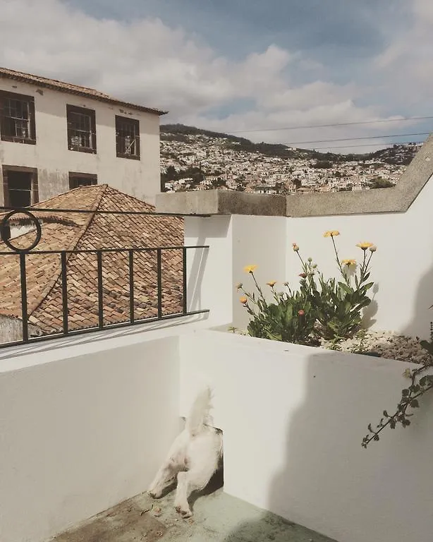 Endemic - Concept Apartment Funchal  Portugal